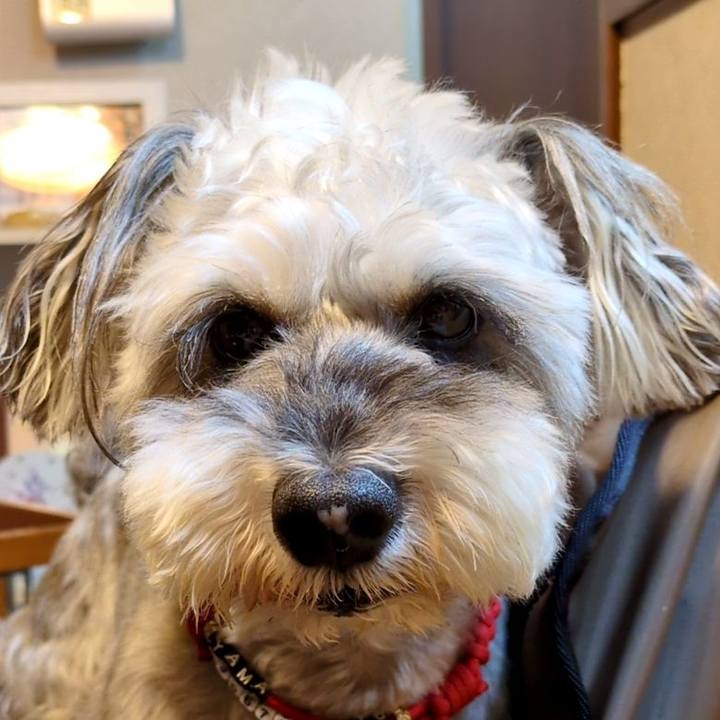 877f5d9f d3c6 4d02 8e04 112884a1d4e0 1758111827396