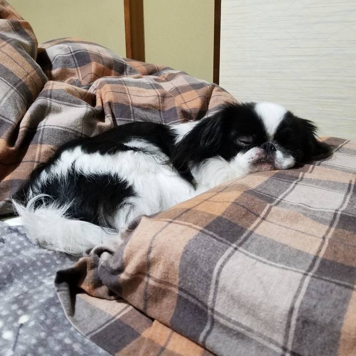 877fab2c 90d4 47bd 9b8f 88da01f78b56 1677234570196