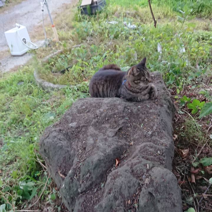 877fb488 dcba 4a6c 992c 675c928c78fe 1657533923701