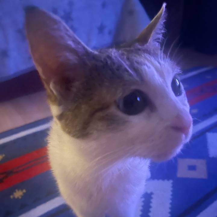 877fca09 c87d 4c82 a8b6 654d346b7d00 1625749819231