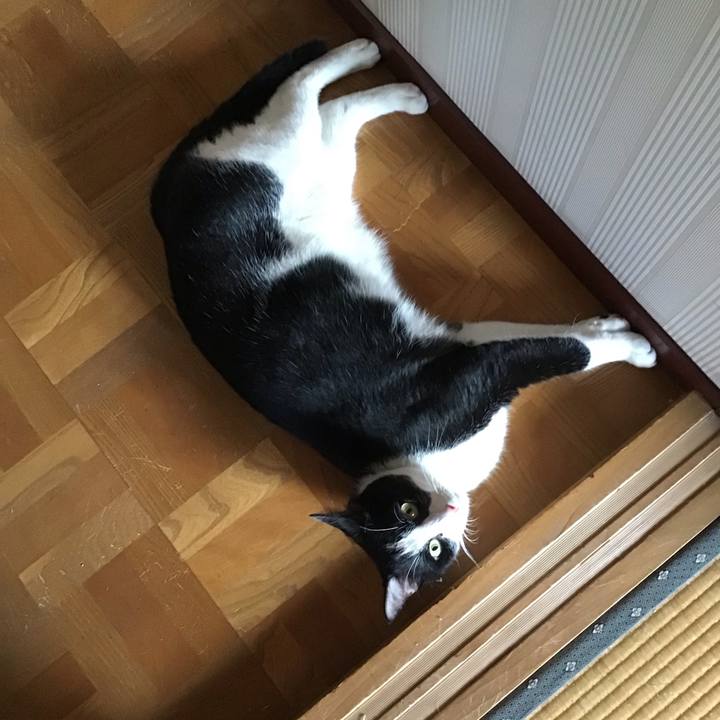 87803f2a 2c19 4137 9b23 0e5eb5c84127 1695040030835