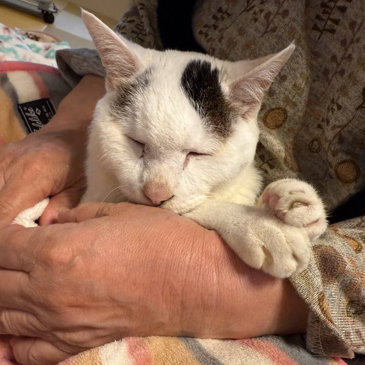 87806e81 d87a 402f b4f1 e78421c7bd48 1766383828557