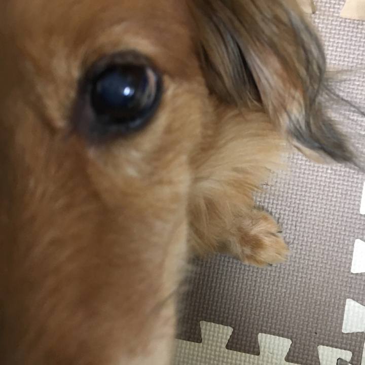 87809873 b8f5 4d30 988e 659032d89afe 1565187724601