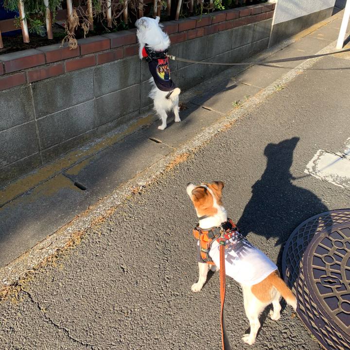 87812781 a33f 4d0e bcbd 09d23cdd4f97 1588927771001