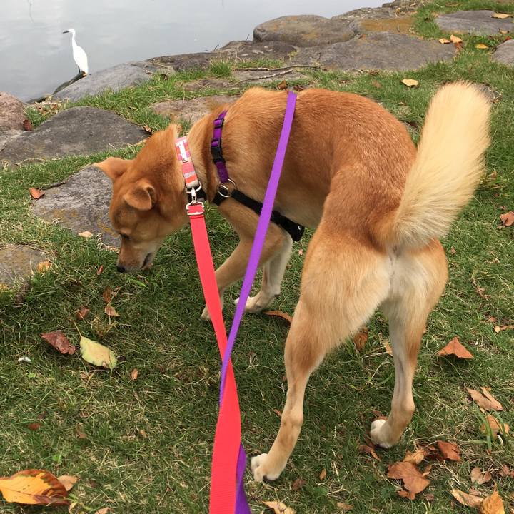 87813cc4 7839 4571 83c2 af52299aceb2 1539952130318