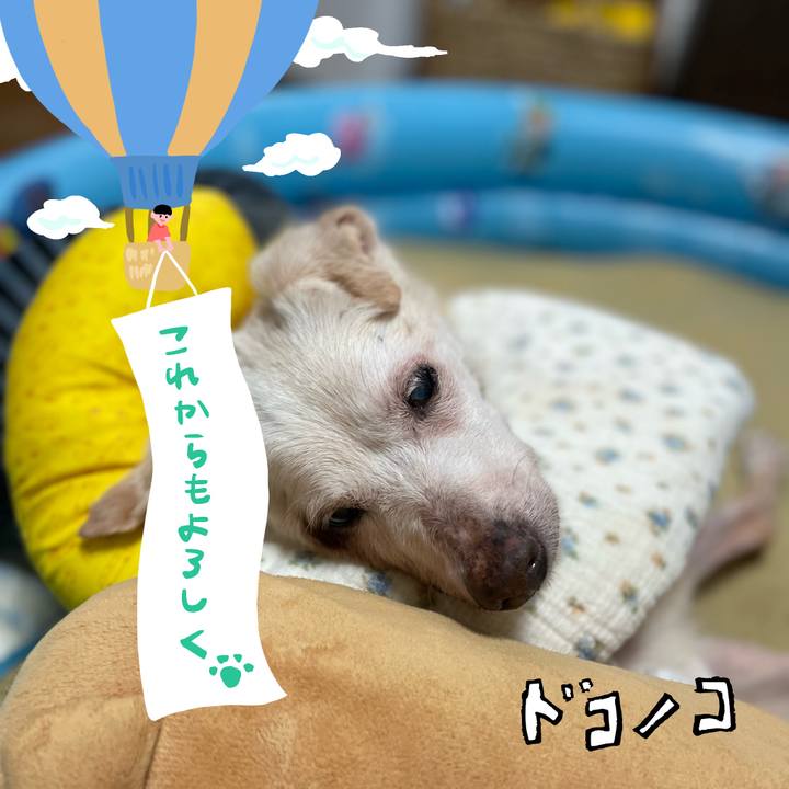 878149ff 241b 41f9 9509 0278345e3645 1686008739110