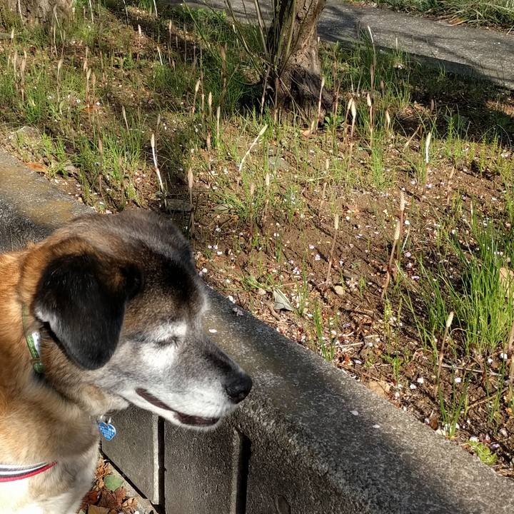 87814e4f a507 4a43 b11d 492c9b6bd649 1553213343022