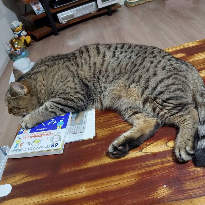 87817241 ad75 438e bfe0 068459a45cbd 1658402868533