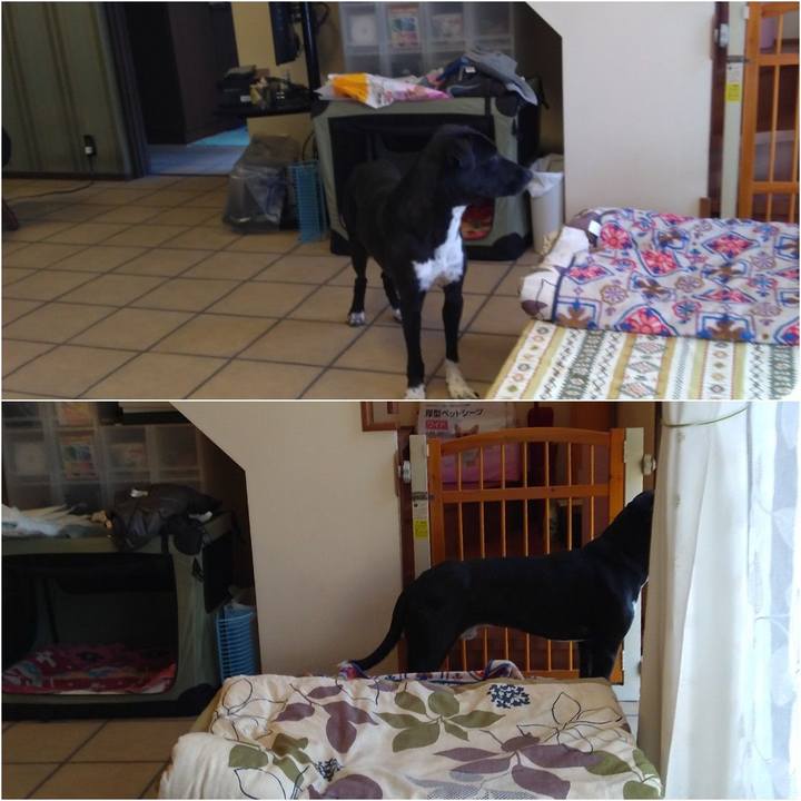 87818dcc 2f22 4ebe a5cc 818f5034d733 1587819897370