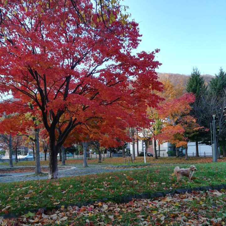 8781db72 8381 4c8a a33f 5edf7b72991f 1572563091919