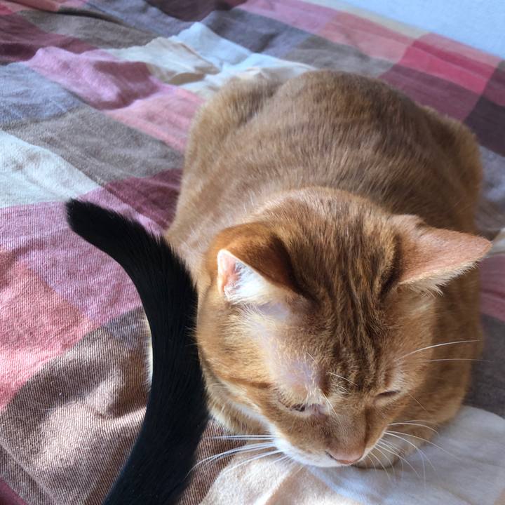 8781e604 a499 4d27 b341 3ff230b76a36 1680042241851