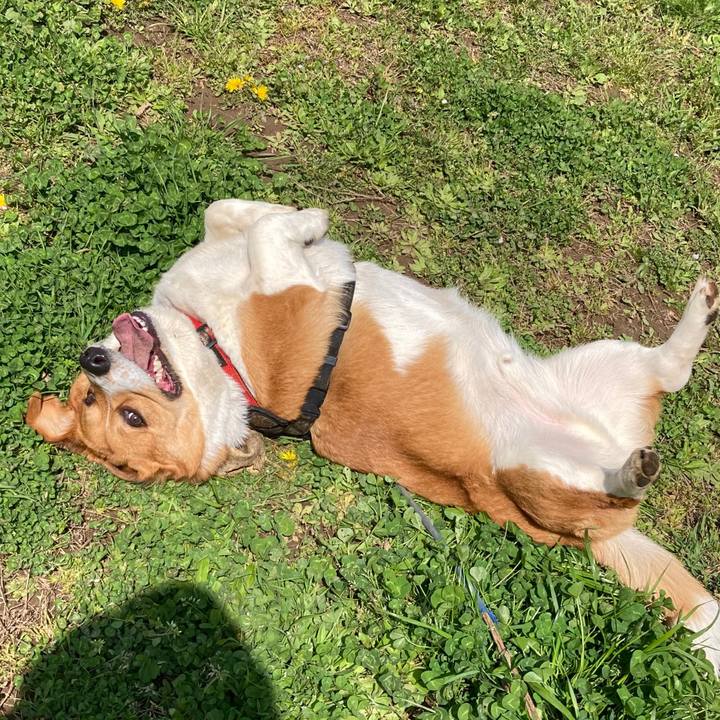 87820976 df92 454c 88e7 11237d9f92a2 1680592830326