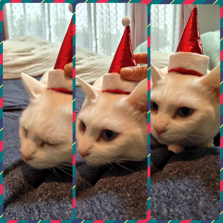 87823125 841a 4c10 9169 8199d3a9a972 1766622100159