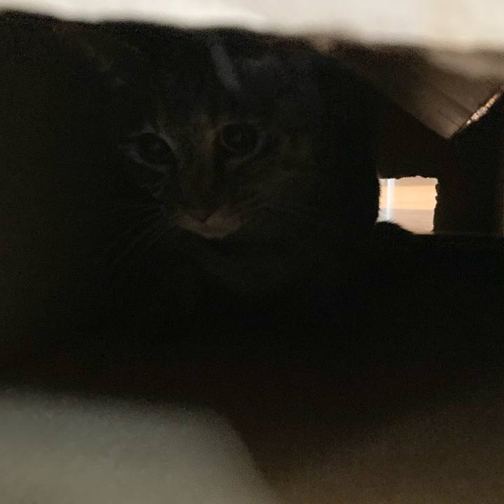 878267fa 2228 4a56 b4e5 aa67e12b517f 1647568251718