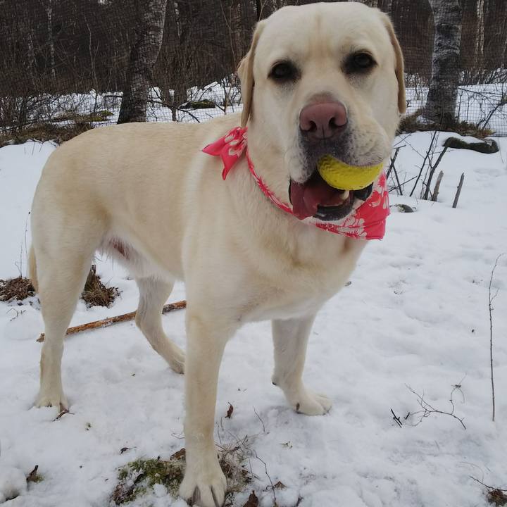 878276db 8c22 4624 97a9 d42f95ea71e6 1549785408153