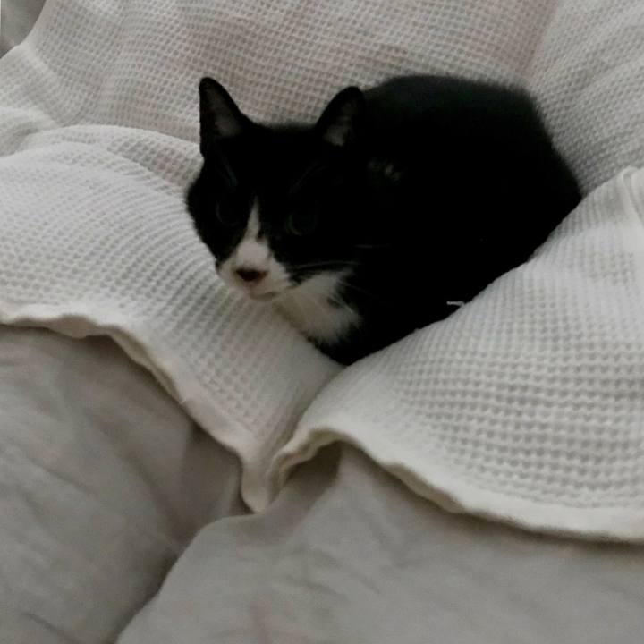 8782a083 04a5 4619 b6d7 47396ab19934 1562310454669