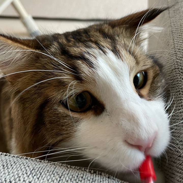 87830372 3f19 4671 b4ab 36b2a10897e5 1662155158896