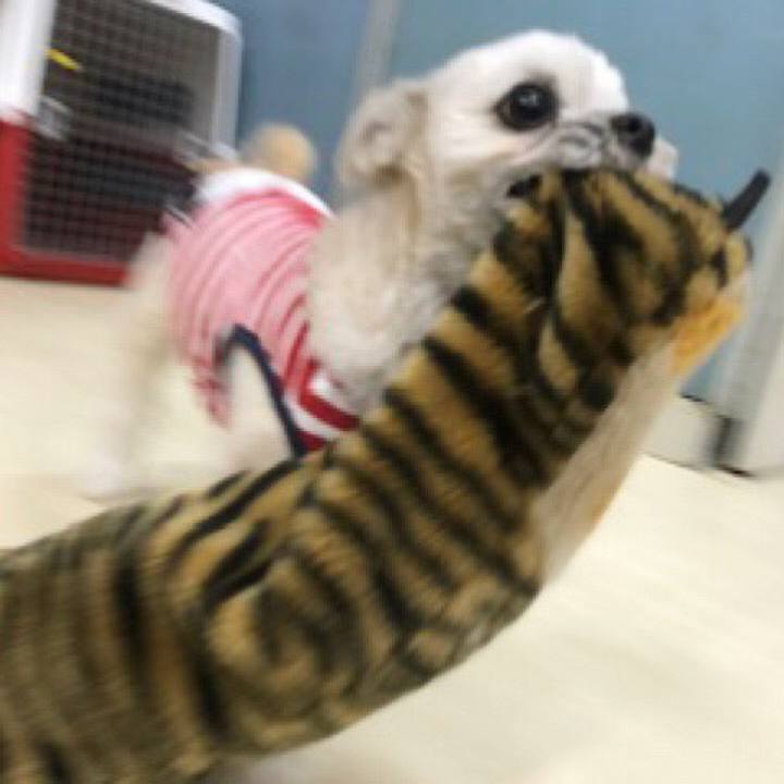 87834061 fb51 4e1c b6a2 ae752c8c1867 1549622113866