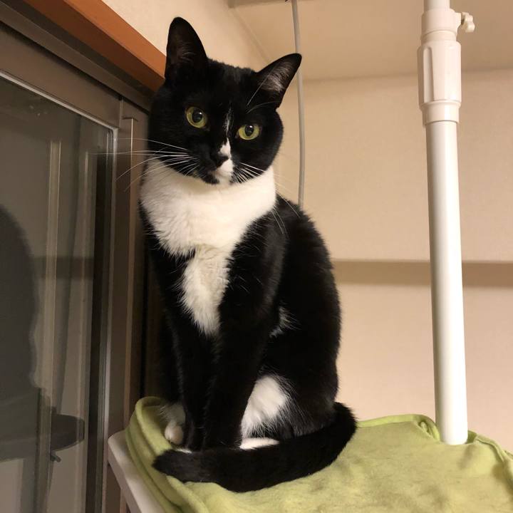 87835cc5 bdf4 4940 b68c e2b3b01ed207 1516140482015