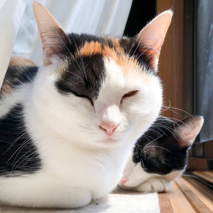 87836cf0 c091 4206 be9c 62ad8780222d 1524532486782