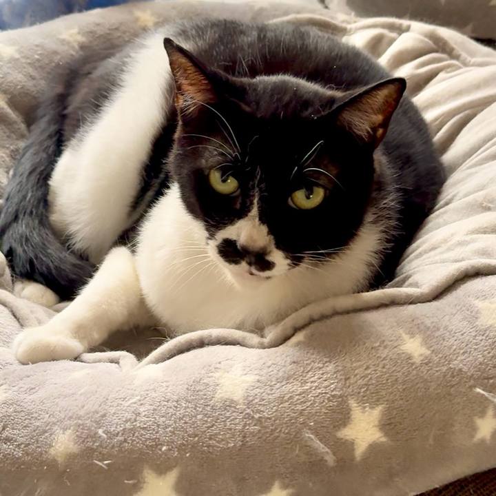 87837389 ad3e 4c61 b332 1c4ec3657a17 1748824545905