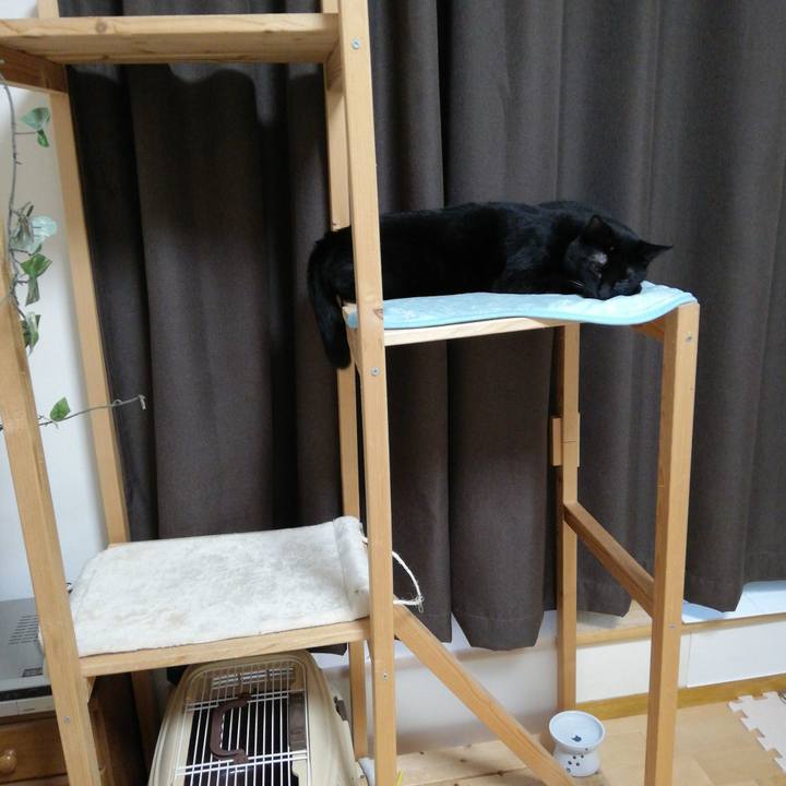 87837857 6caf 45aa ad4b 518b82bc5566 1622759063881