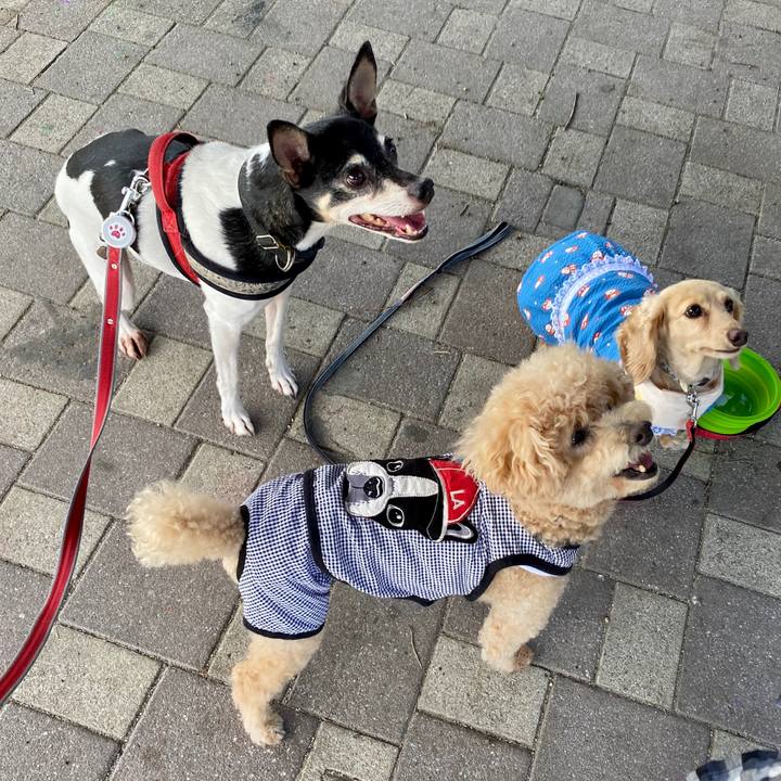 8783a896 ff30 4627 9497 fb854559dc08 1592360414065