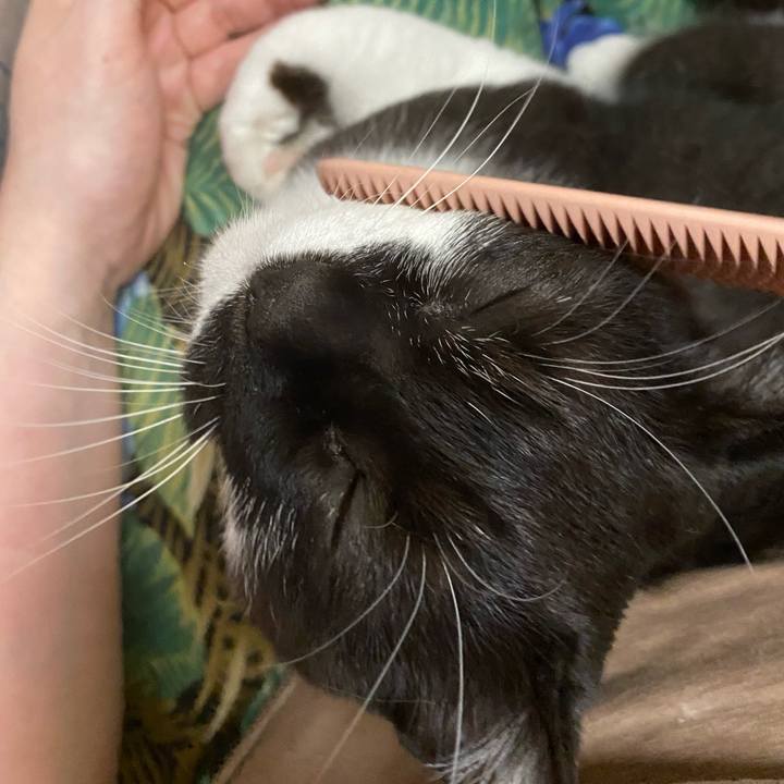 8783be56 661c 403d bf5b 98954bb4f514 1620103362239