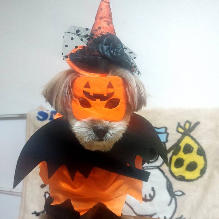 8783cea4 3361 4b8d b6b9 f616f50392df 1667211579782