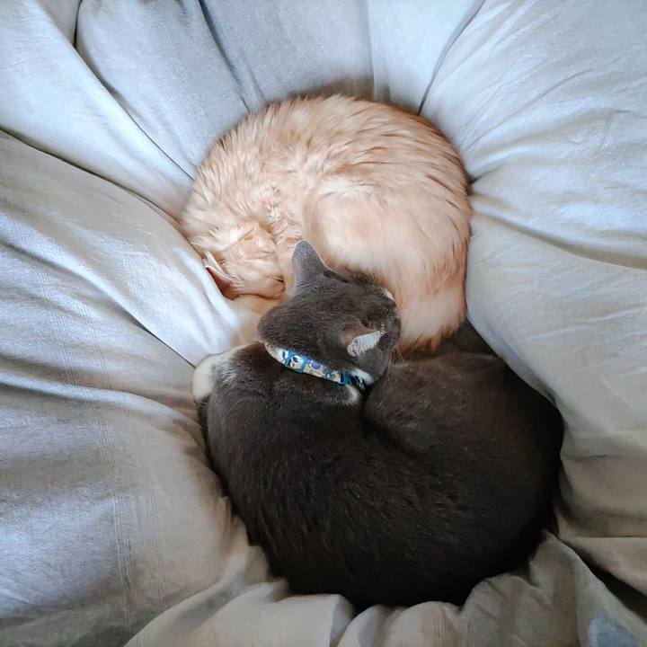 8783df0e 45d5 4029 9e3e 4f60f99a7efe 1666485420113