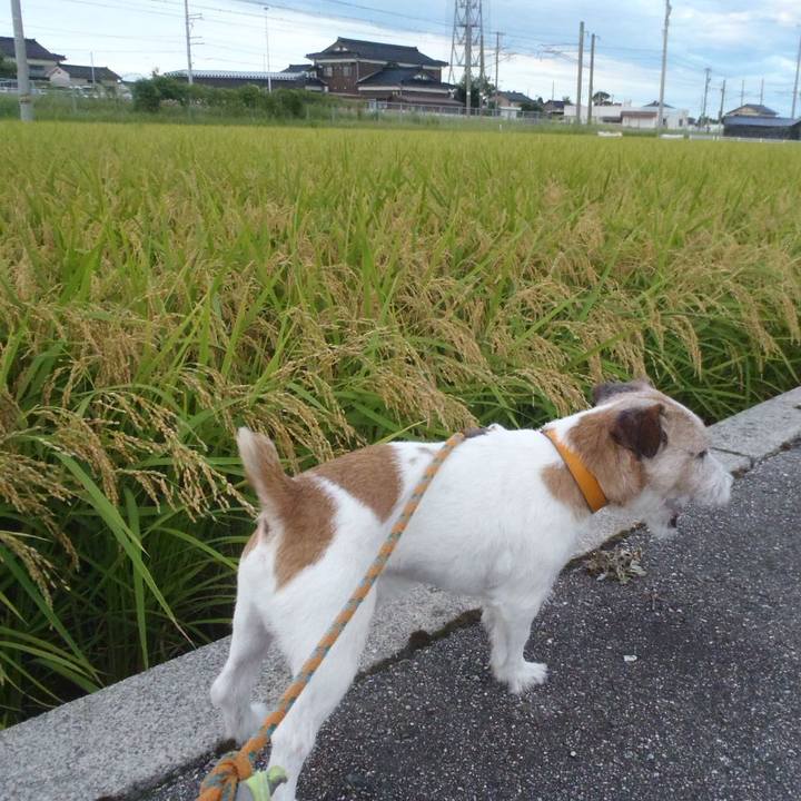 8783df61 56a6 4987 88fb 314566679c35 1536320601578