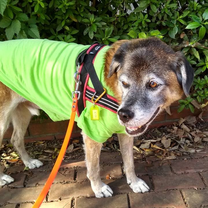 8784129c 8226 4508 9776 d1dd588e92b0 1570677037519