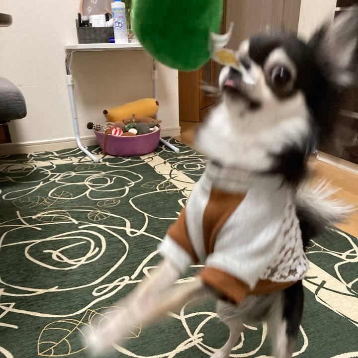 8784963f bb54 4506 9d23 74cde0d878f9 1643463812696