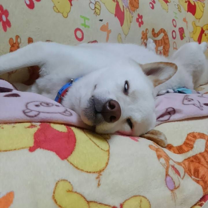 8784bcff 3f32 44a2 94cd adba55839150 1515327733344