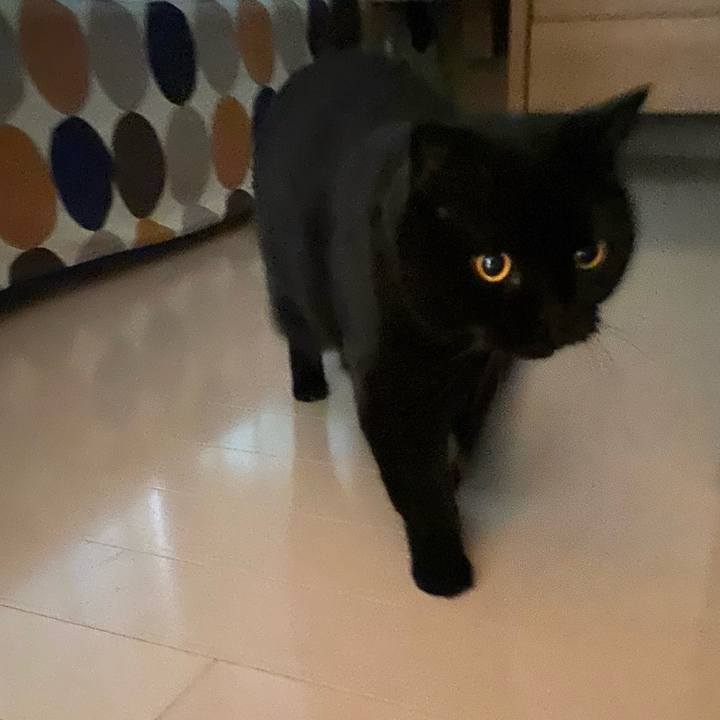 8784bd69 02a2 494c 9411 25da64294ae7 1755608233601