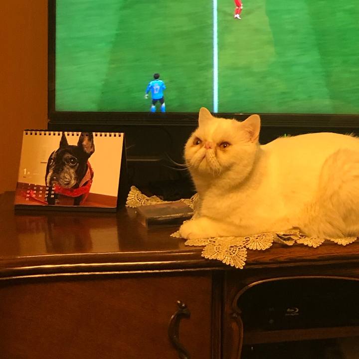 8784f9bb cc50 4469 9ad3 b475c264dbeb 1643286045699