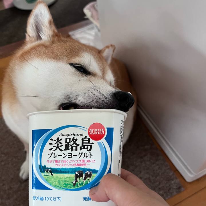 878539e9 eb06 44e8 81ad b5593f674f03 1695961173173