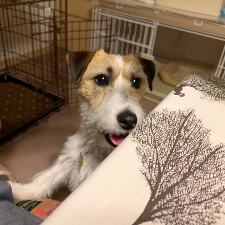 87855317 4641 48de a78f db6be5fc9da7 1588856607211