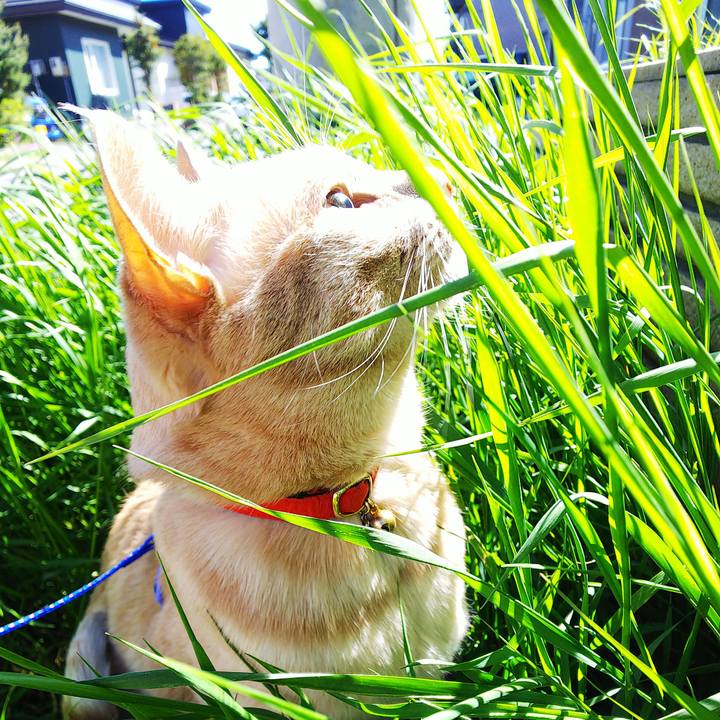 87856e04 eda7 48db a73d 8321a01901d0 1590046452055