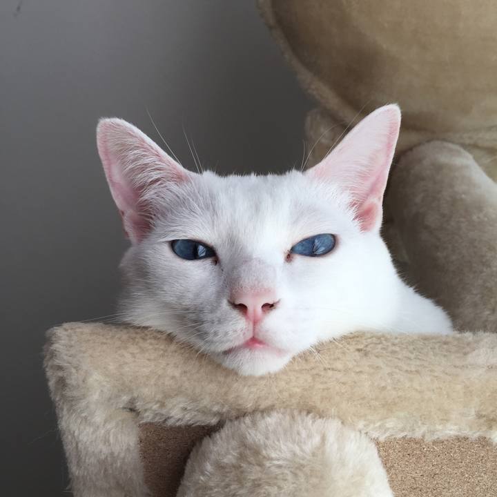 8785d7c6 c99f 493a adc2 c2f84a719884 1509684517972