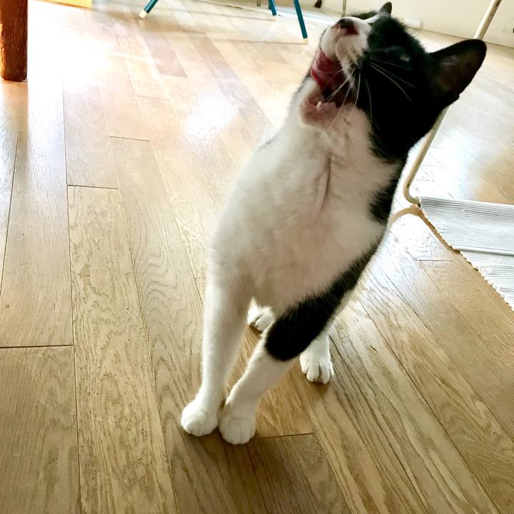 8785ef37 63b7 496c 9a4e c2fa618ec31e 1513845945071