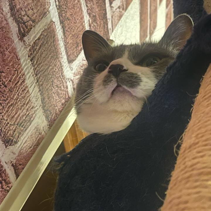 8785f807 be57 48ee 882f 7bcdbb49e331 1734260015881