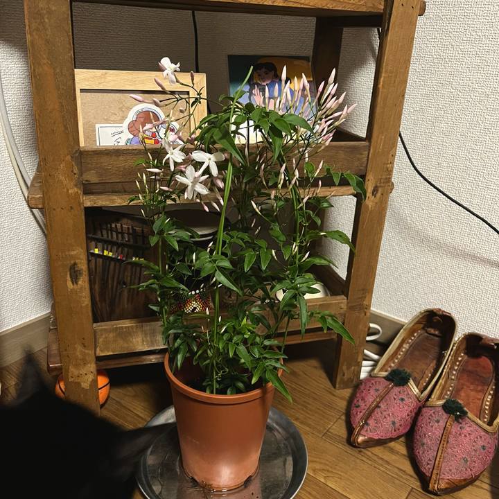 87862eb2 a507 4f18 a435 091a5aa63e82 1681216090796