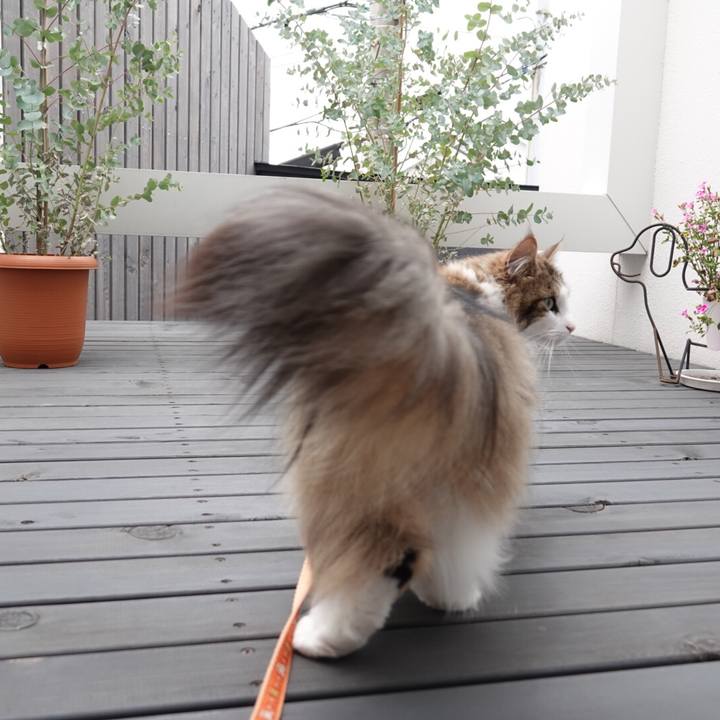 878640ed a410 443c b51b f2db713d8c65 1559708679510