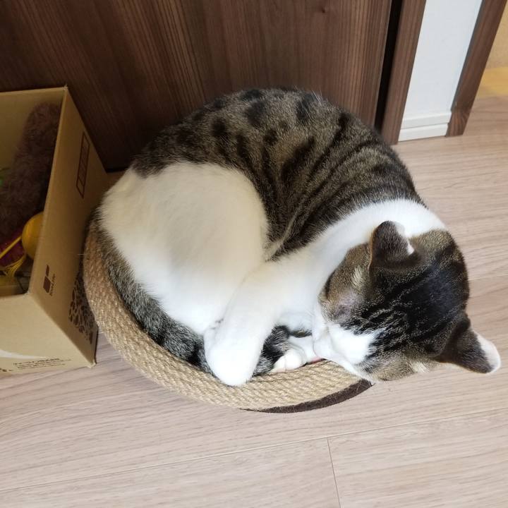 878645b9 c19c 416d af23 a9ede28b38e8 1618349913613