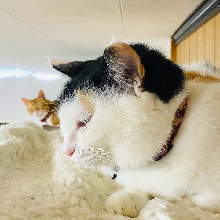 87868307 6e79 4ca0 a011 46bd4a2006ff 1679227556712