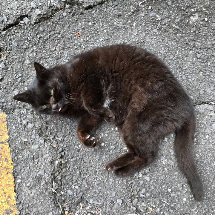 8786b22e 5675 466b 9d50 92521bf9cc22 1576673325600