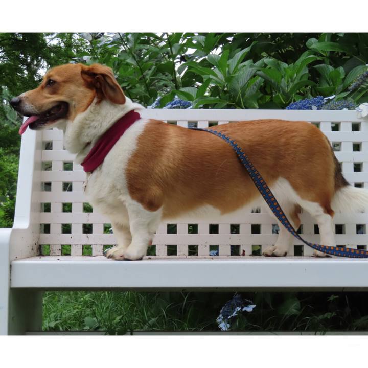 8786df8f 9b76 4197 8cf0 585f26a85ebe 1625446624960