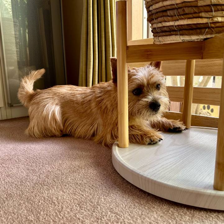 8786e572 8b4d 48b3 af97 f2f07e32a1d8 1749180746970