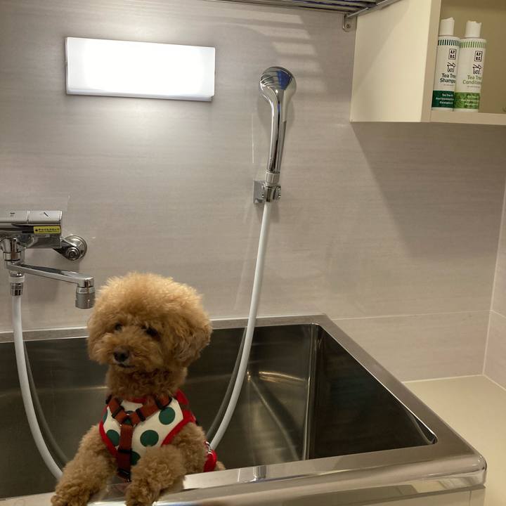 8786f454 b056 4870 ad3b 279c89297459 1679185221339